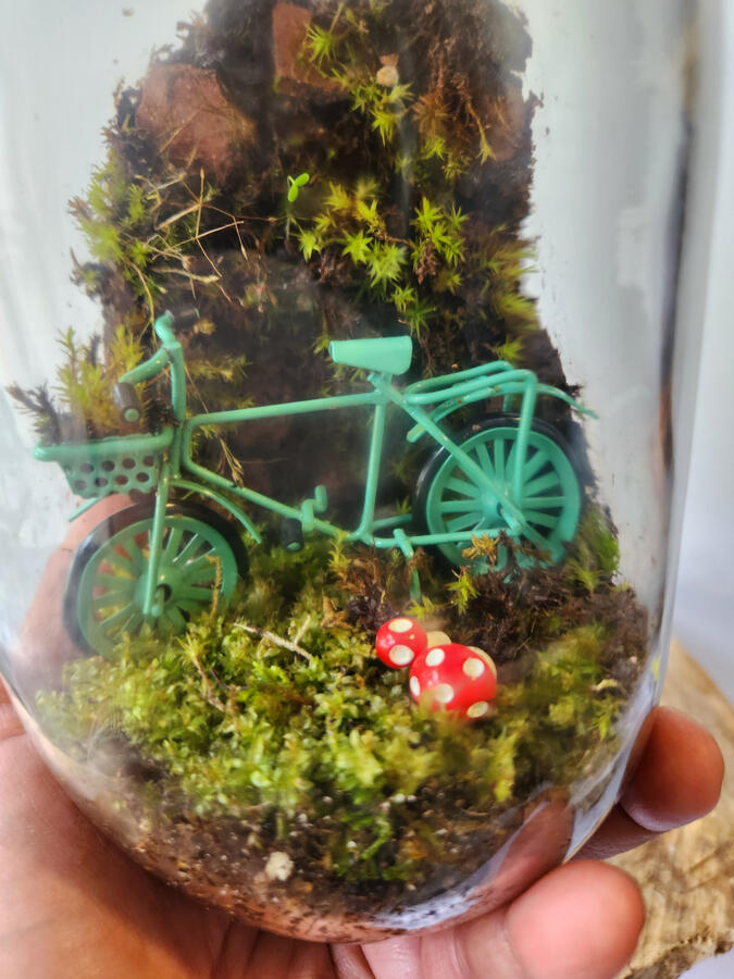 Brick Moss Wall Terrarium