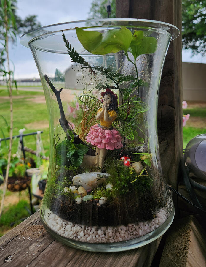 Pink Fairy in the Woods Terrarium
