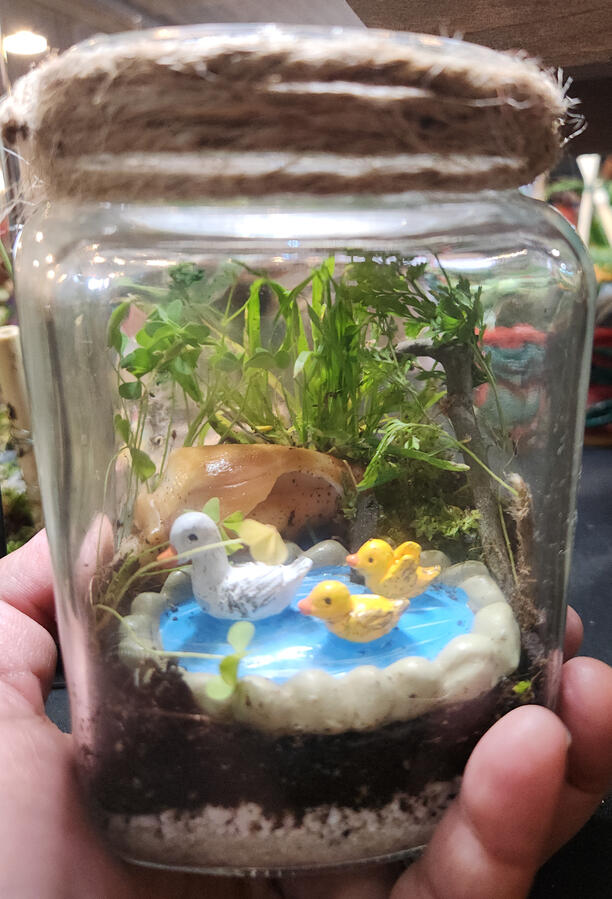 Duck Pond Terrarium