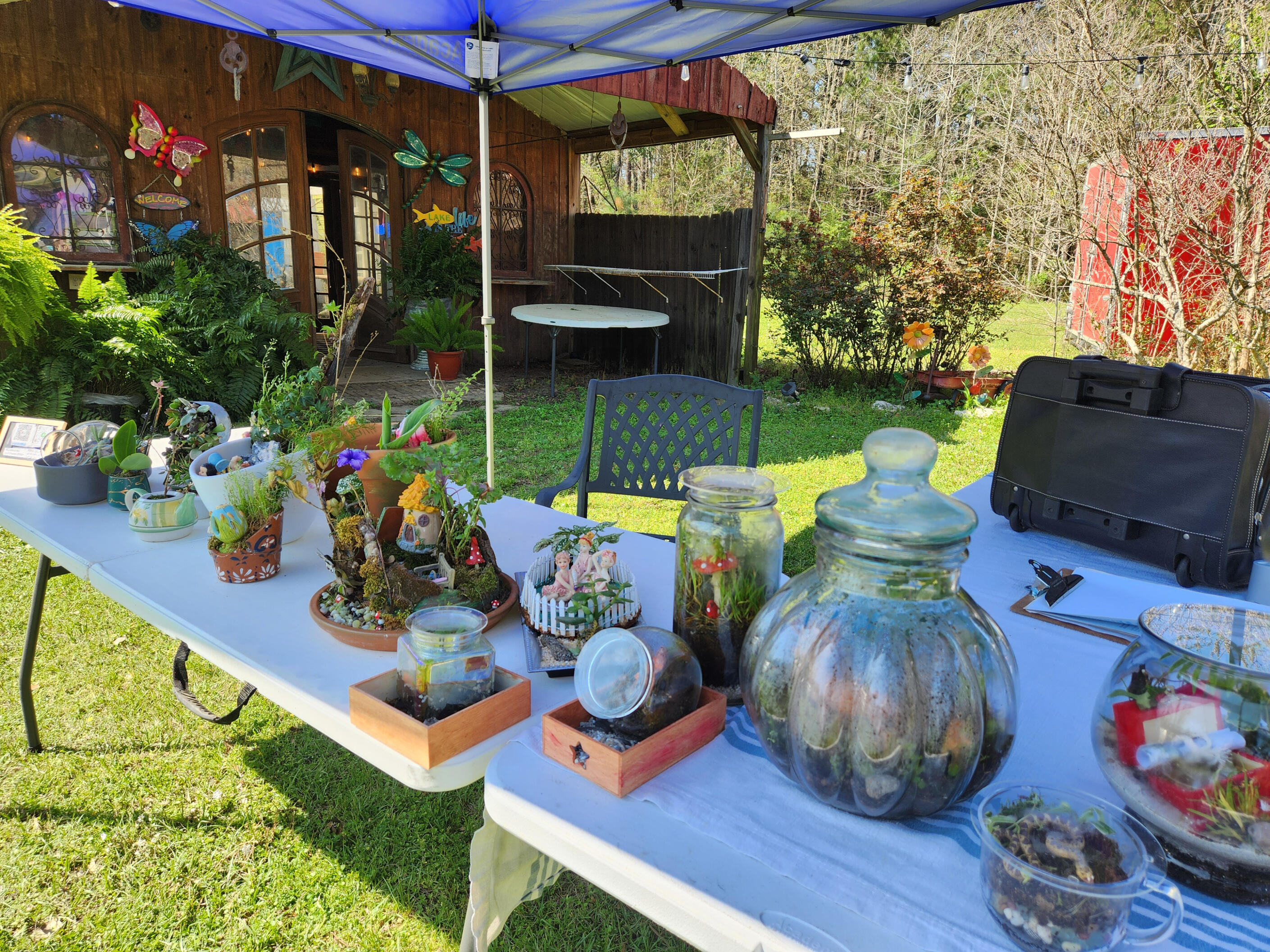 Market booth set up Table set up for market event by Sharm's Green Thumb plant nursery logo - Longview TX